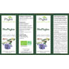 RHUPHYBIO Lotion 15ml