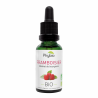 Macérat glycériné bio bourgeons de framboisier Phybio confort féminin