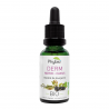 DERM macérat glycériné bio de bourgeons de noyer et cassis Phybio