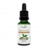 Macérat hydroglycériné de bourgeon d'amandier biologique Phybio Oemine