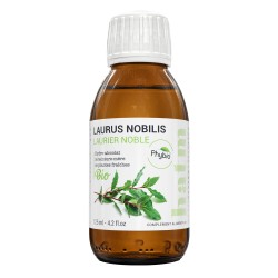 LAURUS NOBILIS (Laurier...