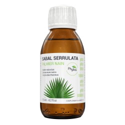 SABAL SERRULATA (palmier...