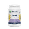 Oemine Gast gentiane et gingembre bio, digestion, estomac, nausées
