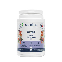 OEMINE ARTER - 60 Capsules