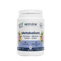 Metabolism Surpoids - Oemine