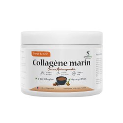 Collagène Chocolat Ashwagandha : la synergie naturelle entre vitalité, récupération et sérénité