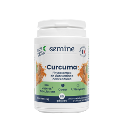 Curcuma Concentré - Oemine