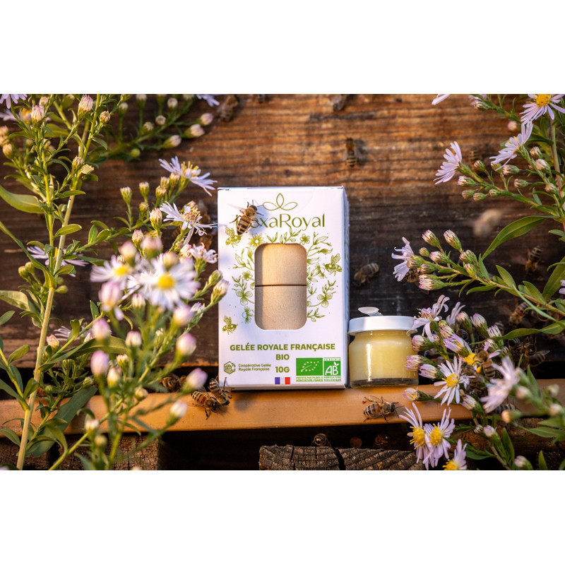 Gelée royale française bio haut de gamme 10 g