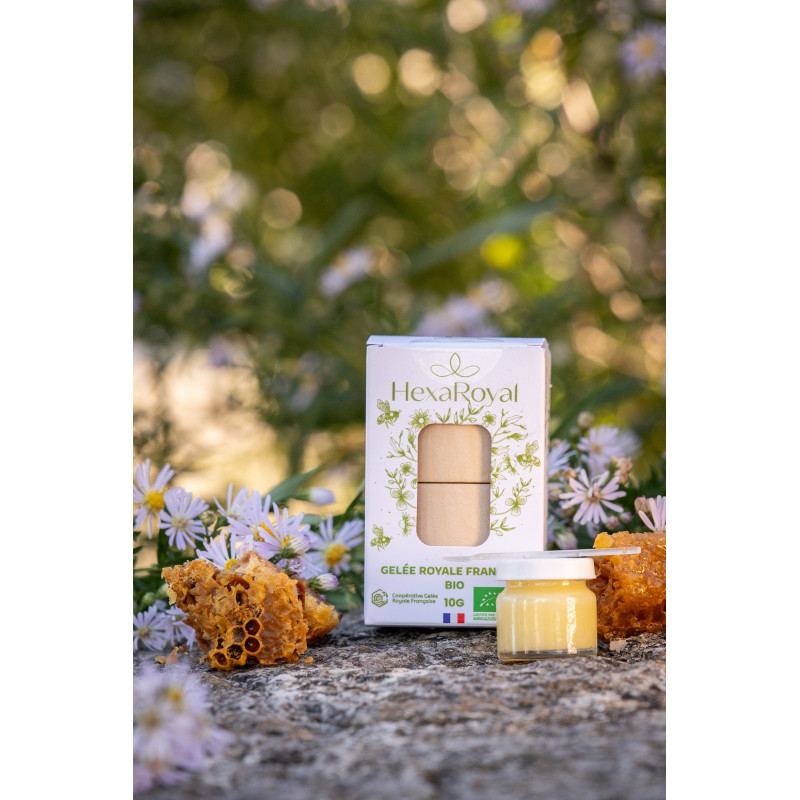 Gelée royale française bio haut de gamme HexaRoyal