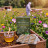 Cure Gelée Royale et Camu-Camu en Gélules - Marque Hexaroyal