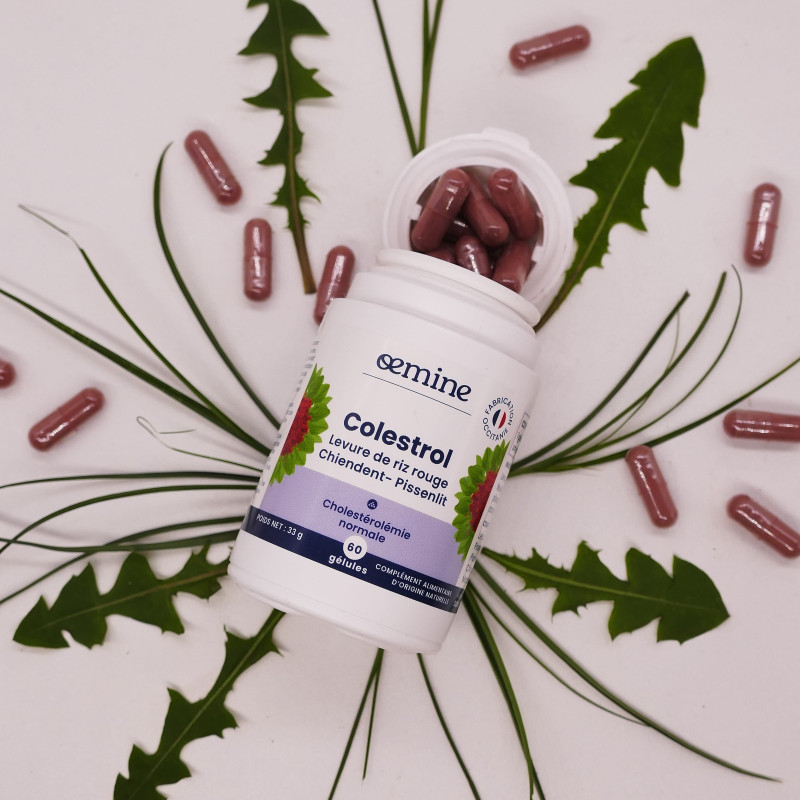 Colestrol oemine levure de riz rouge pour cholestérol monacoline