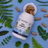 ZINC VEGETAL BIOLOGIQUE - 60 Gélules
