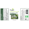 Promotion Eucalyptus Radiata Huile essentielle PHYBIO - 10ml