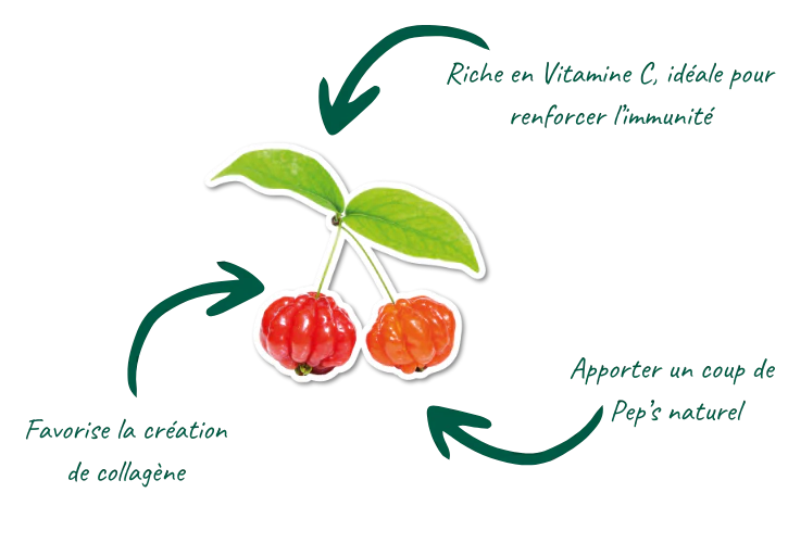 ACEROLA PUREE de fruit bio