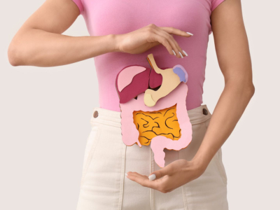 Enzymes digestives : rôle, carences et bienfaits pour la digestion